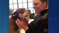États-Unis : Tom Brady a annoncé vivre avec le clone de son chien