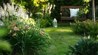 Connaissez-vous la ligne de désir, ce chemin qui abîme l’esthétique de votre jardin ?