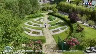 Pollinariums : un nouvel outil contre les allergies