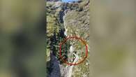 VIDÉO - Fonte des glaciers : une passerelle de randonnée détruite par les eaux dans le massif de la Vanoise