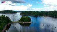 VIDÉO - Guyane : à la découverte d'une forêt engloutie