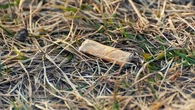 Risque d'incendies : voici la lourde amende que vous risquez en jetant un mégot de cigarette dans la nature