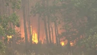 "Même si vous courez, vous risquez de vous faire rattraper par le feu" : les incendies progressent désormais plus vite, alerte le pompier Grégory Allione sur LCI