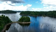 Naufrage d'une pirogue en Guyane : les corps des 4 portés disparus retrouvés