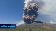 VÉRIF' - Etna, Sakurajima... Observe-t-on une activité volcanique anormalement élevée cette année ?