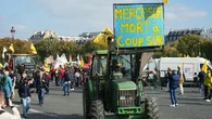 Mercosur : pourquoi le projet d'accord inquiète (aussi) les défenseurs de l'environnement ?
