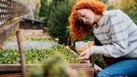 Saints de glace : ces erreurs à ne pas commettre si vous voulez préserver la bonne santé de vos plantes