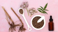 Valériane : voici pourquoi cette plante pourrait vous être bénéfique