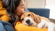 C'est quoi le "puppy blues", dont peuvent souffrir ceux qui ont adopté un chiot ?