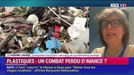Pollution plastique : "les déchets sont en augmentation constante et les pays ne pourront pas les traiter", alerte la scientifique Fabienne Lagarde sur LCI