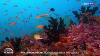 Pollution, pêche : nos océans mieux protégés ?