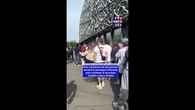 Victoire du PSG en finale de la Ligue des Champions : des centaines de personnes devant la boutique officielle pour acheter le nouveau maillot à deux étoiles
