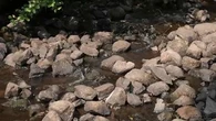 "Chaque goutte compte" : comment les villages de l'Aveyron s'organisent en pleine sécheresse