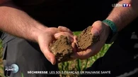 Sécheresse : les sols français en mauvaise santé