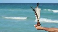 Mélange de badminton, volley-ball et pelote basque, ce sport méconnu a la cote en France !