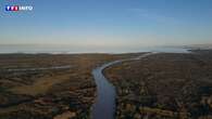 VIDÉO - Argentine : la vie au fil de l’eau dans le menacé Delta du Tigre