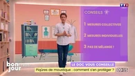 Le doc vous conseille : Piqûres de moustique, comment s’en protéger ?
