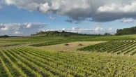 Pesticides : ce que révèle la première étude nationale sur l'exposition des riverains de zones viticoles