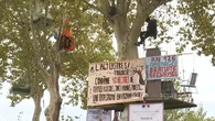 Manifestation contre l'A69 : un dispositif de sécurité conséquent pour éviter tout débordement