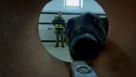 "Nous, on ne sent rien" : comment les chiens renifleurs 2.0 de la gendarmerie détectent les objets numériques