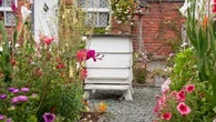 Vous voulez des ruches dans votre jardin ? Voici les règles à suivre