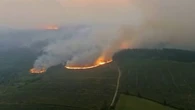 Incendie dans l'Aude : combien de temps faut-il pour que la nature se régénère ?