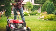 "Mai sans tondeuse" : seriez-vous prêt à ne plus tondre votre pelouse pour aider les pollinisateurs ?