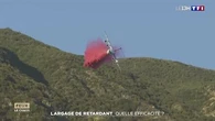Incendies : de quoi se compose ce produit retardant rouge largué sur la végétation pour ralentir le feu ?