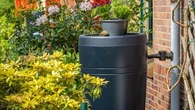 Toutes ces astuces pour récupérer l'eau de pluie et l'utiliser au jardin