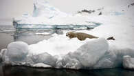 L'Antarctique se dirige vers une 