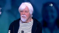 PODCAST – Paul Watson, fondateur de Sea Shepherd : "Nous avons besoin des autres espèces pour vivre"