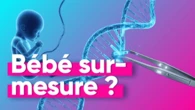 A la recherche de l'embryon "parfait"