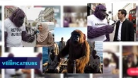 VÉRIF' - Que cachent vraiment ces vidéos de gorilles générées par IA, devenues virales sur TikTok ?