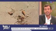Antoine en liberté : Interdiction de fumer sur les plages, le pétard mouillé