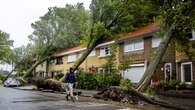 VIDÉO - Chaos aux Pays-Bas : le pays frappé par sa plus forte tempête estivale