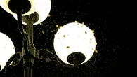 Les insectes sont-ils vraiment attirés par la lumière ? Une étude révèle le vrai mécanisme qui les piège autour de nos ampoules