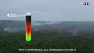 Feux à Fontainebleau : des conséquences durables
