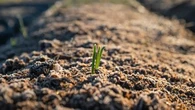 "Graines d'agriculteurs", un concours qui récompense les initiatives environnementales