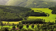 "Pour stopper le changement climatique, la forêt est l'outil numéro 1" : pourquoi la réduction des puits de carbone français est inquiétante