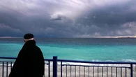 Ces espèces invasives qui prolifèrent avec le réchauffement des océans