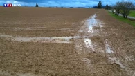 VIDÉO - Intempéries : leurs terres noyées, ces agriculteurs sont en difficulté