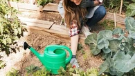 "On peut économiser 30% à 40% d'eau" : plus précis et pratique, les conseils d'un jardinier pour installer un arrosage automatique au potager