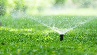 "Déposer de l'eau uniquement où c'est nécessaire" : l'arrosage du futur vous permettra de faire des économies