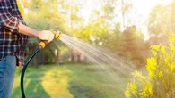 "Si on arrose en petites quantités ..." : un expert livre ses conseils pour prendre soin de votre jardin pendant les fortes chaleurs