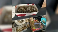 "Tous ces produits provenaient de cambriolages ou de pickpockets" : un trafic d'or et de bijoux entre la France et la Belgique démantelé