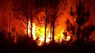 "On a vu quelques flammes arriver" : en Gironde, des vacanciers fuient les incendies vers le sud