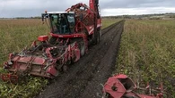 Ce néonicotinoïde pourrait de nouveau être autorisé en France : cinq choses à savoir sur l’acétamipride
