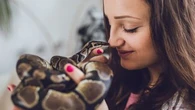 Adopter un serpent pour la première fois ? Voici les espèces à privilégier !