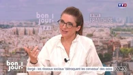 Attentat masculiniste déjoué : "On ne peut pas ignorer le lien avec les réseaux sociaux", estime Aurore Bergé sur TF1