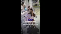 En Italie, deux Françaises partent sans payer d'un restaurant, un village les recherche